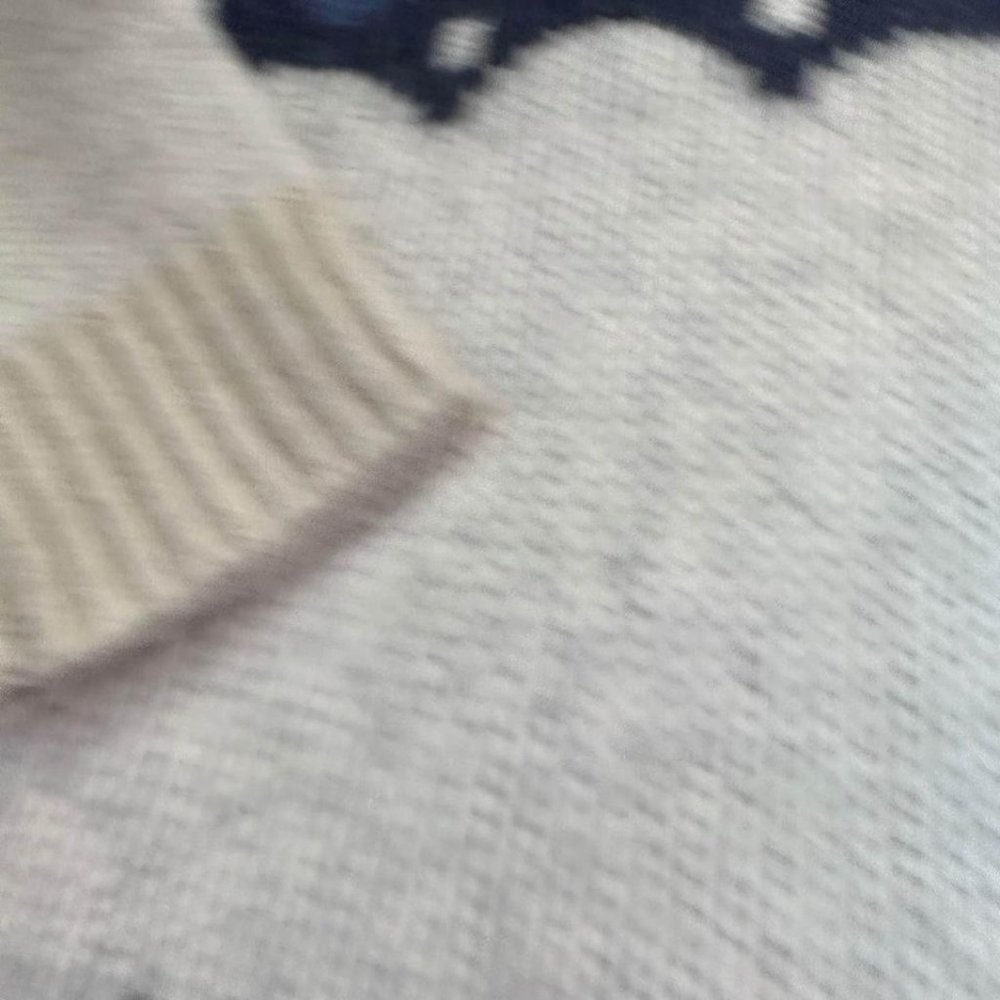 Aerie Chunky Knit Oversized Nordic sweater size small - Picture 4 of 7